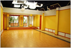 STUDIO BULL