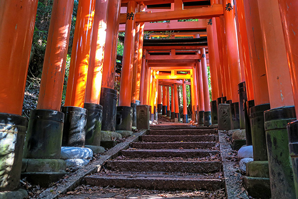 KYOTO�B�e�X�^�W�IStar_02