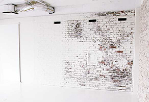 Studio Cui