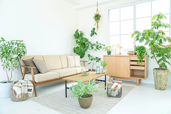 studio Flocke _