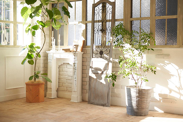 Studio greige