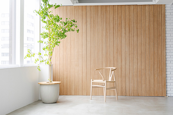 studio Mired lJ_02